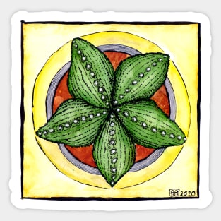 Astrophytum cactus star cacti plant watercolour illustration Sticker